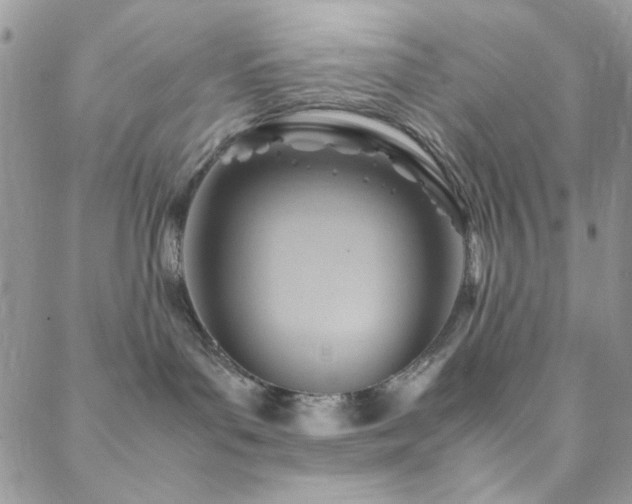 X0000088440143200705221322