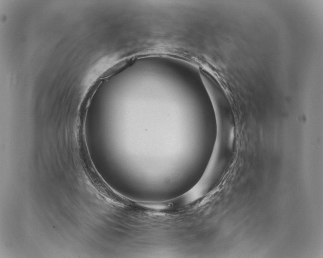 X0000088440152200705221321