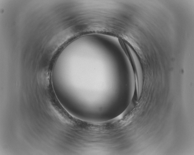 X0000088440160200705221321