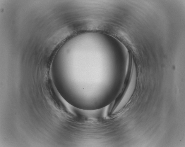 X0000088440164200705221321