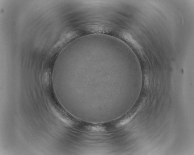 X0000088440165200705221321