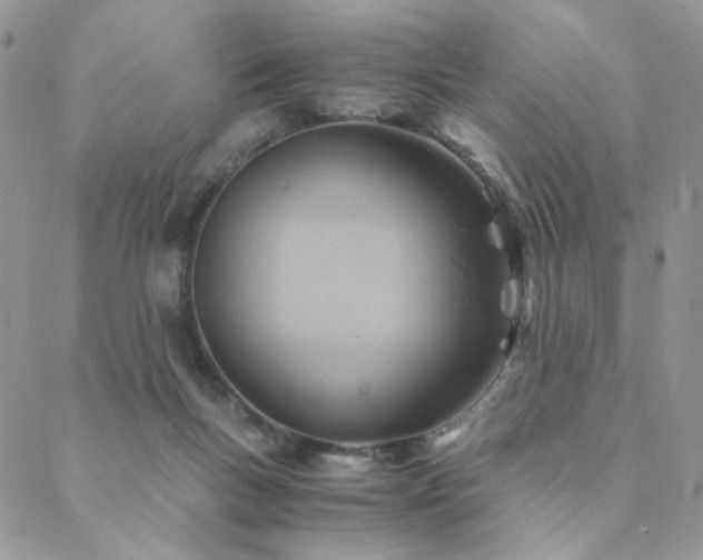 X0000088440167200705221321