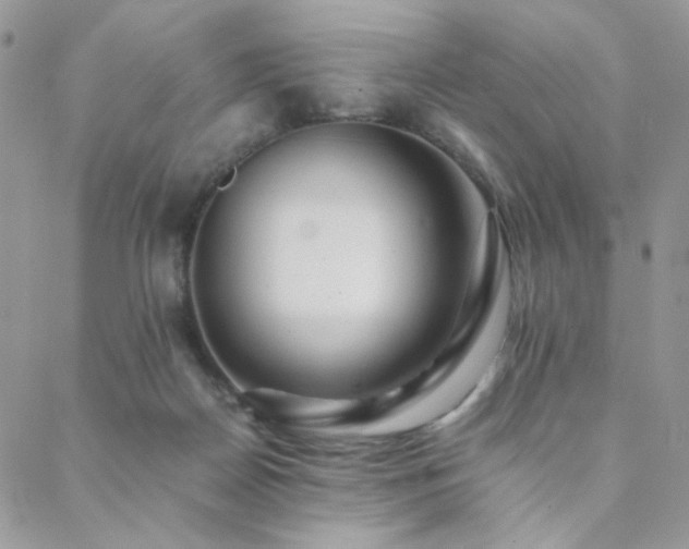 X0000088440170200705221321
