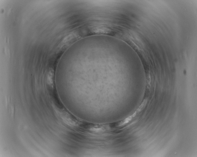 X0000088440175200705221321