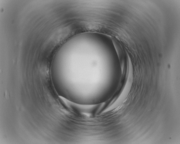 X0000088440176200705221321
