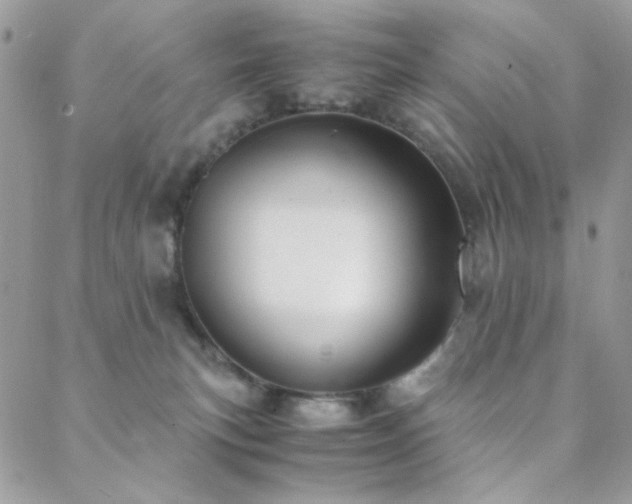 X0000088440183200705221321