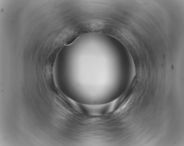 X0000088440184200705221322