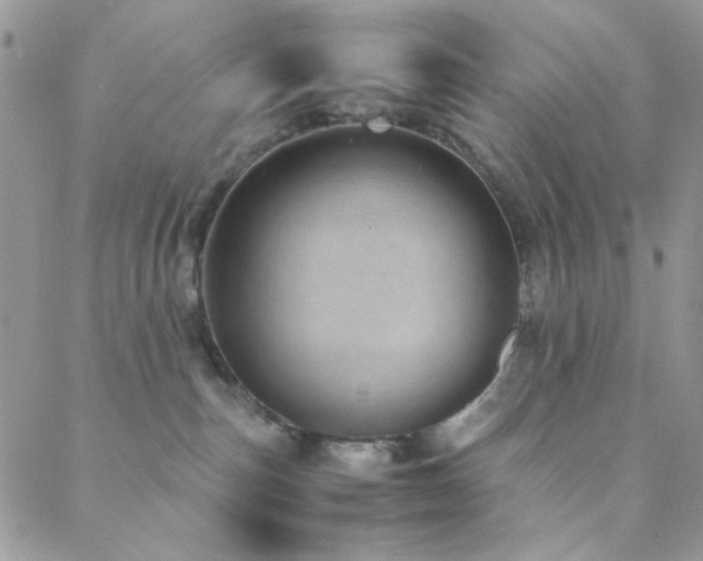 X0000088440187200705221322