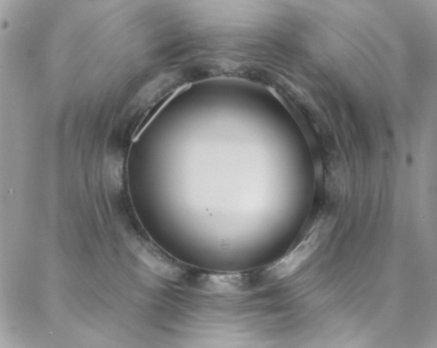 X0000088440188200705221322