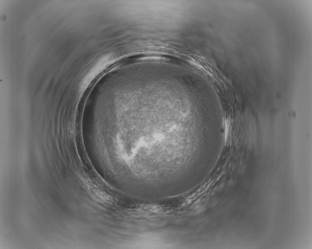 X0000088440195200705221321