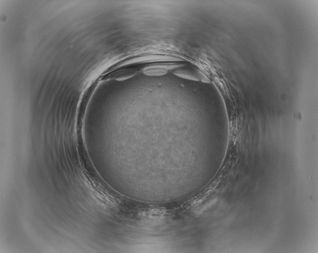 X0000088440196200705221321