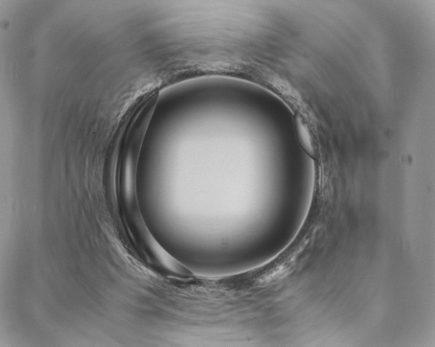 X0000088440201200705221321