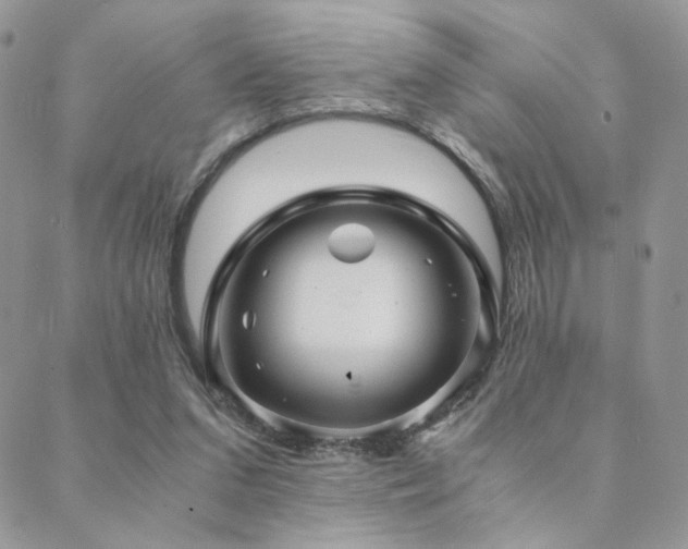 X0000088440207200705221321
