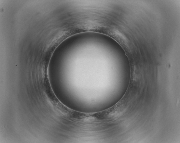 X0000088440210200705221321