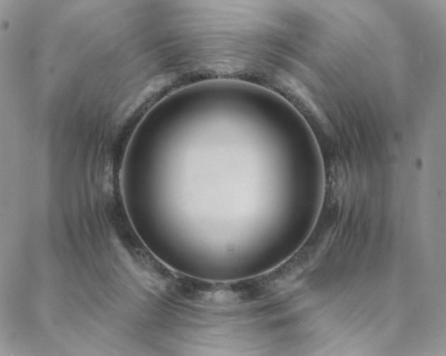 X0000088440212200705221321