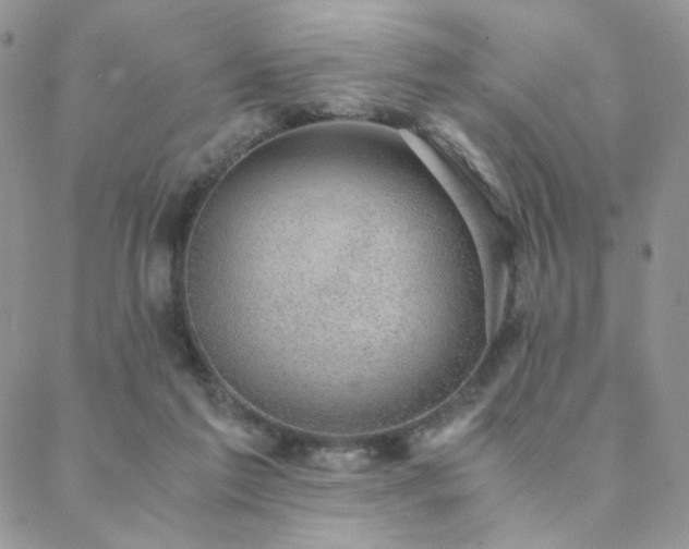 X0000088440213200705221321