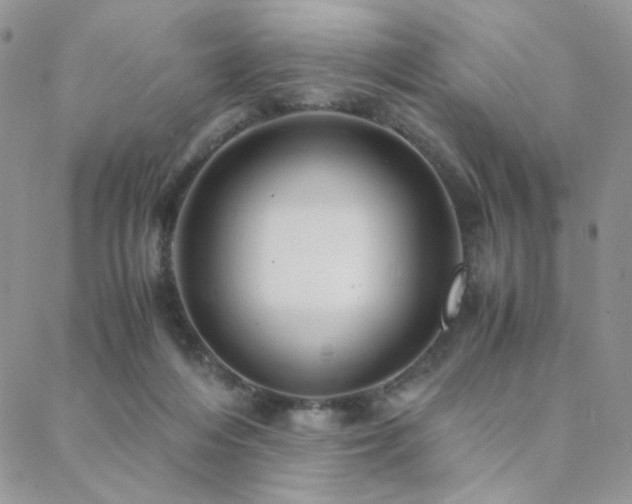 X0000088440216200705221320