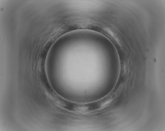 X0000088440217200705221320