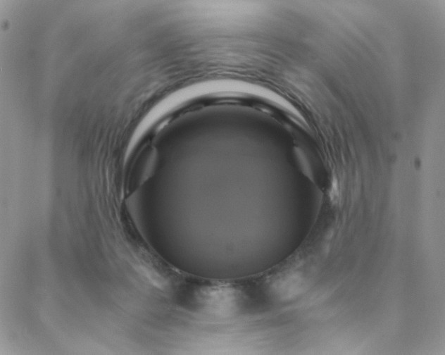 X0000088440219200705221320