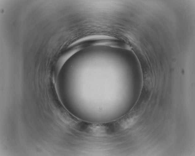 X0000088440221200705221320