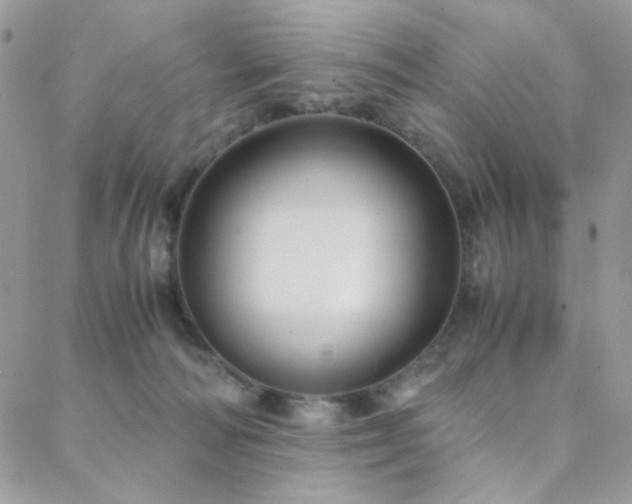 X0000088440226200705221320