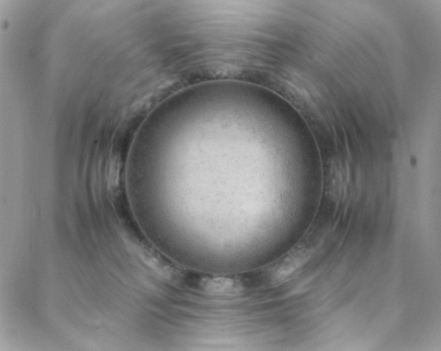X0000088440230200705221320