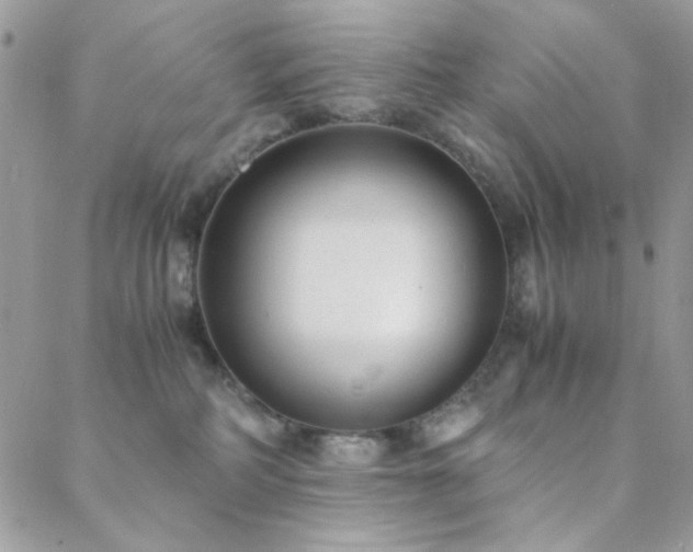 X0000088440234200705221320