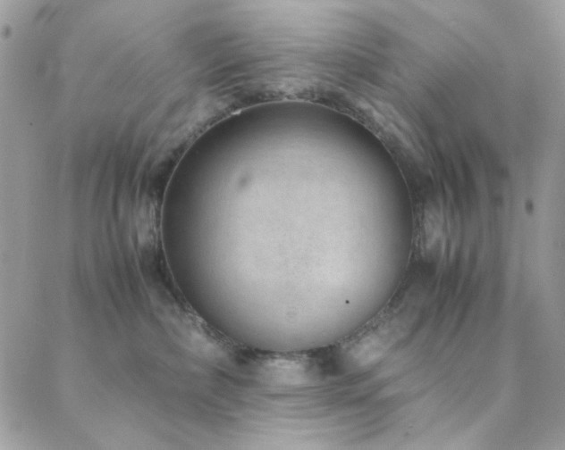 X0000088440236200705221320