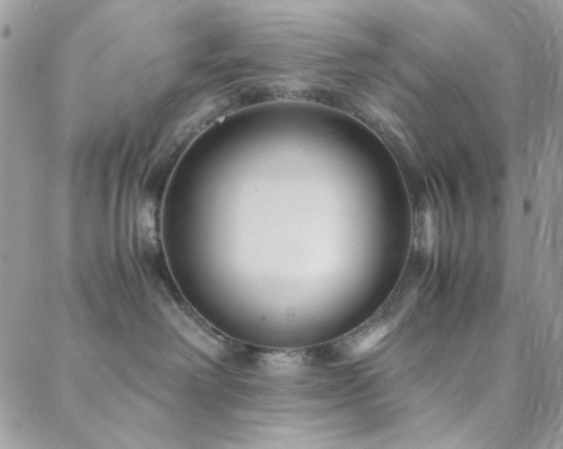 X0000088440238200705221320