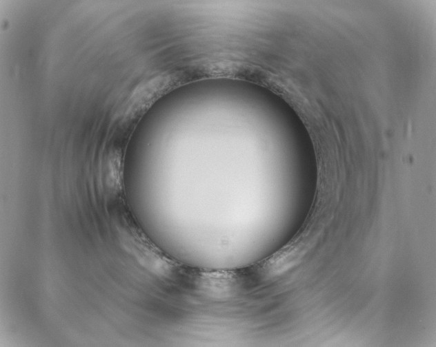 X0000088440240200705221320