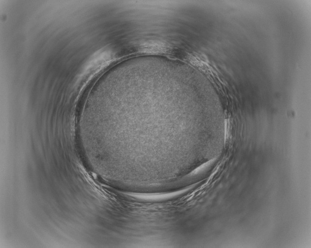 X0000088440243200705221319