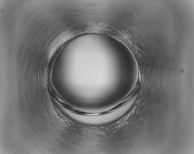 X0000088440244200705221319