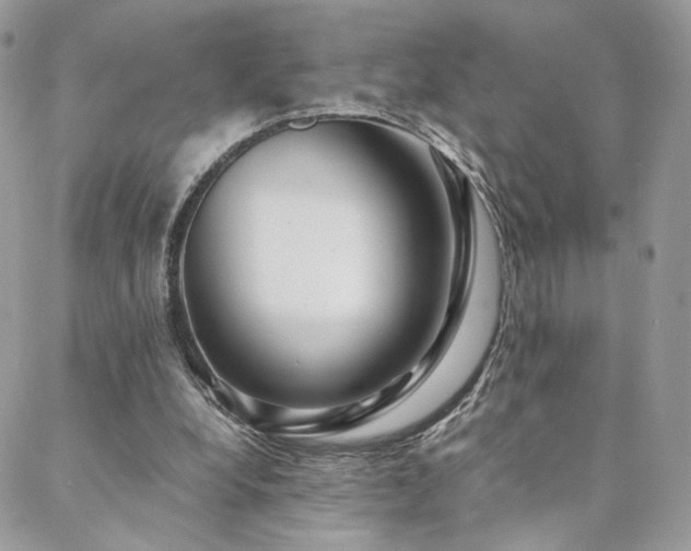 X0000088440248200705221319