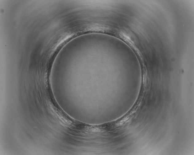 X0000088440249200705221319