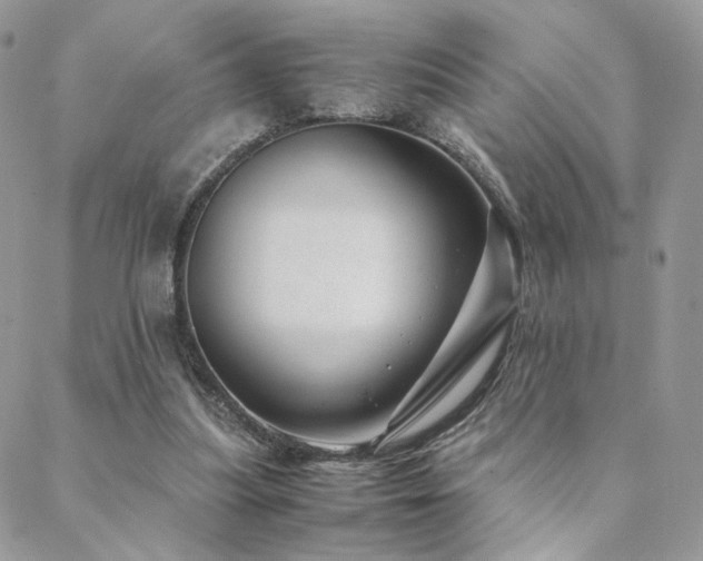 X0000088440251200705221319