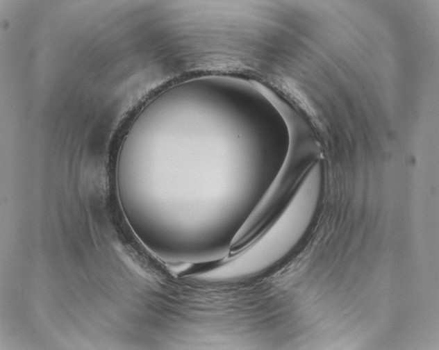X0000088440252200705221319