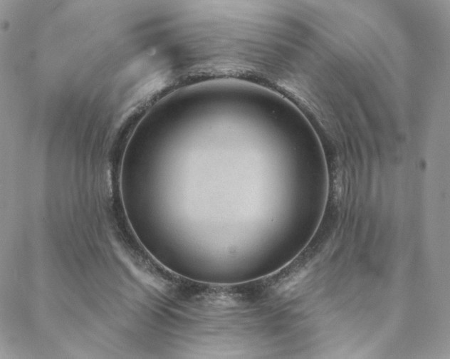 X0000088440254200705221320