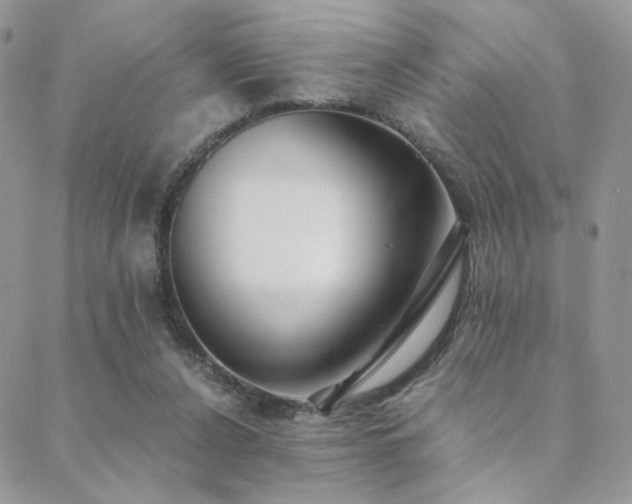 X0000088440256200705221320