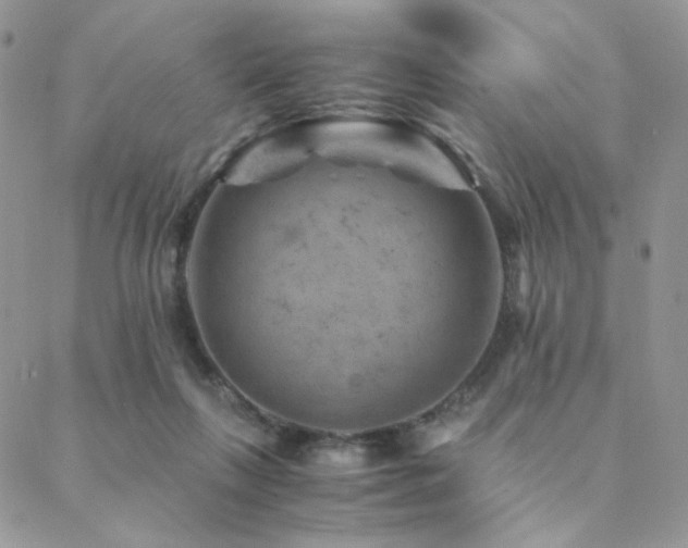 X0000088440263200705221320