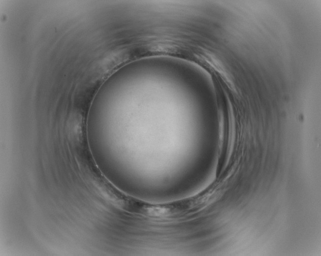 X0000088440265200705221320