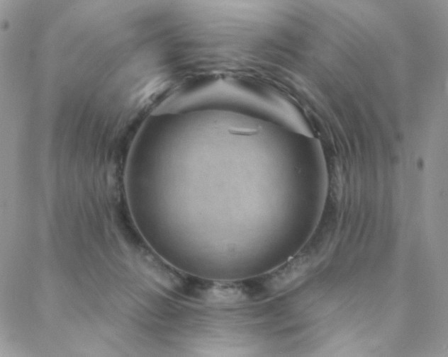X0000088440270200705221320