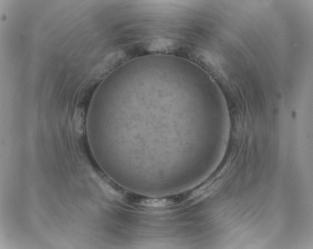 X0000088440273200705221320