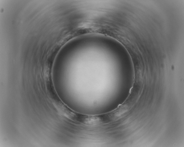 X0000088440274200705221320