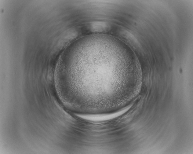 X0000088440277200705221320
