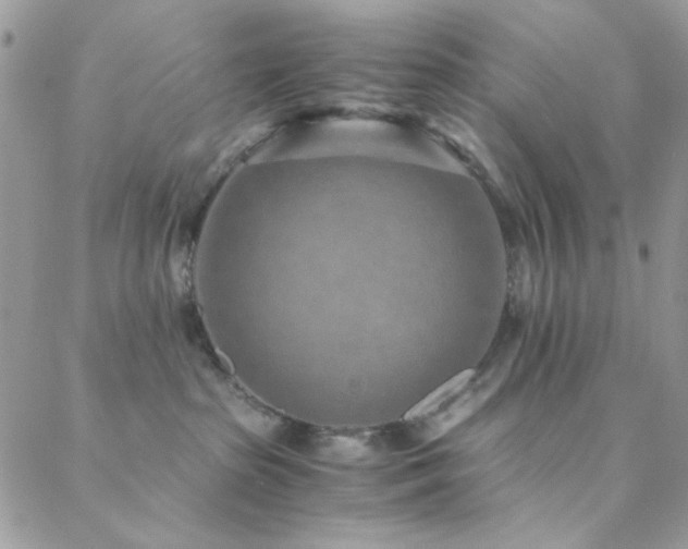 X0000088440285200705221320
