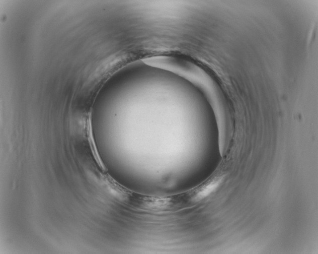 X0000088440288200705221320