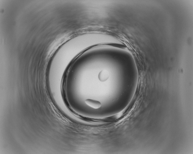 X0000088440293200705221319