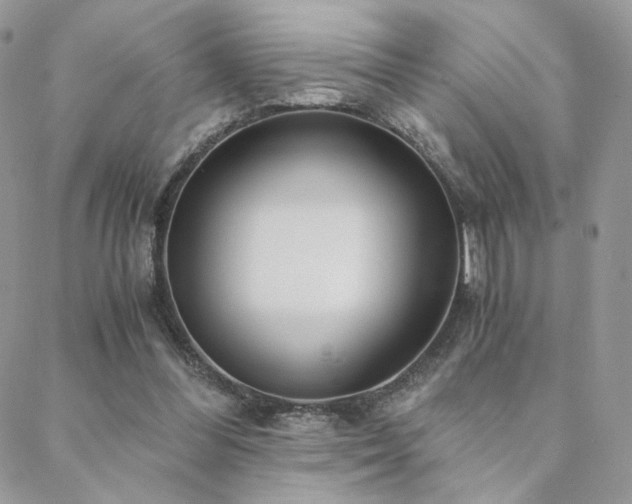X0000088440300200705221319