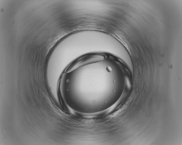 X0000088440301200705221319