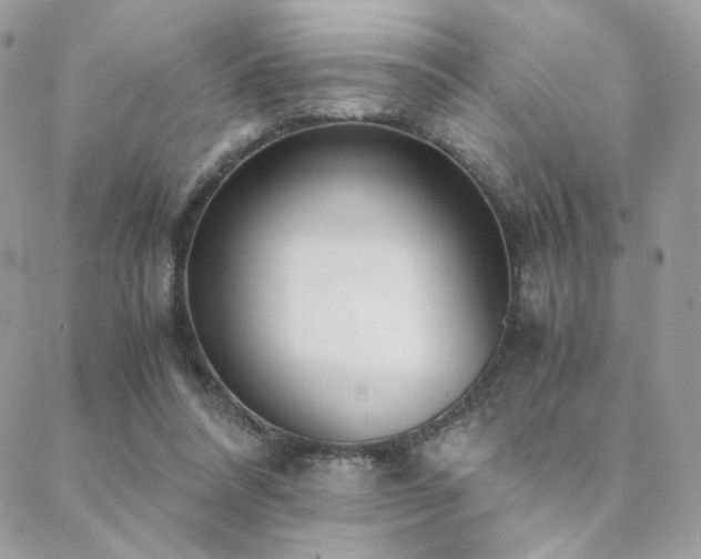 X0000088440304200705221319